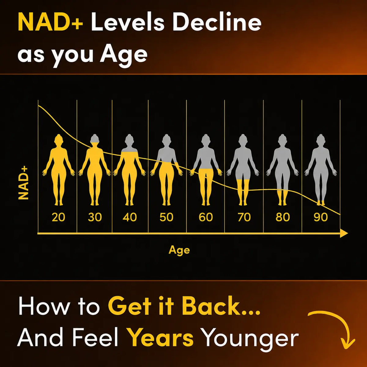 Energy + Performance + Healthy Ageing NMN Supplement